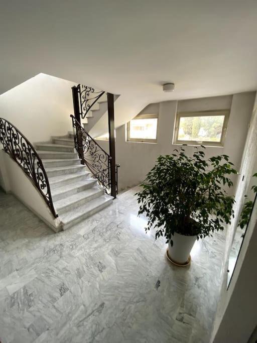 Logement Cosy, Situe Entre Ciel Et Mer Ванс Экстерьер фото